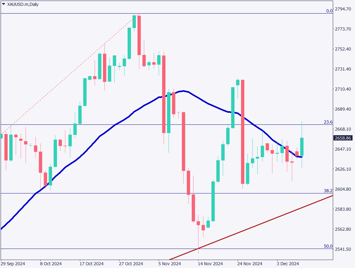 Gold Rises Amid China’s Gold Buying Resumption and Risk-Off Sentiment Over Syrian Government Collapse【December 10, 2024】