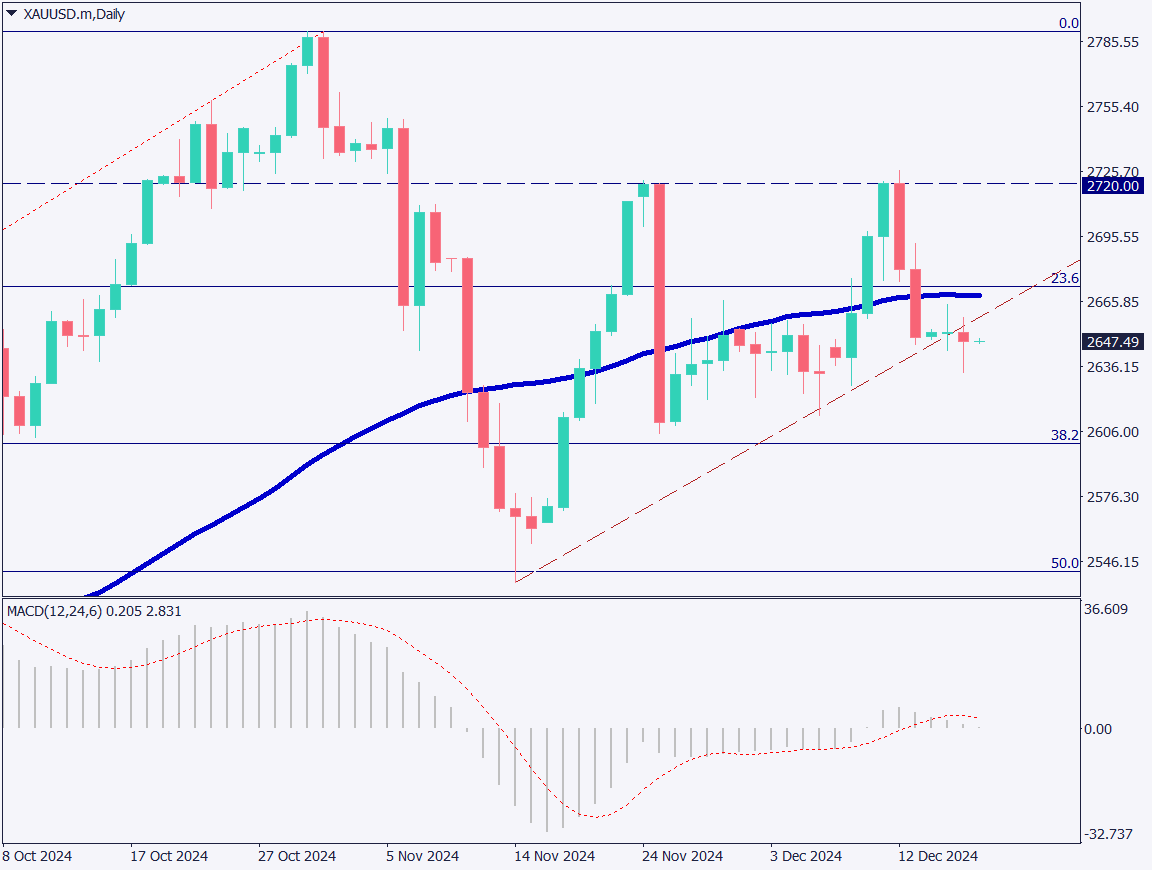 Gold: No Clear Direction, Focus on FOMC Press Conference【December 18, 2024】