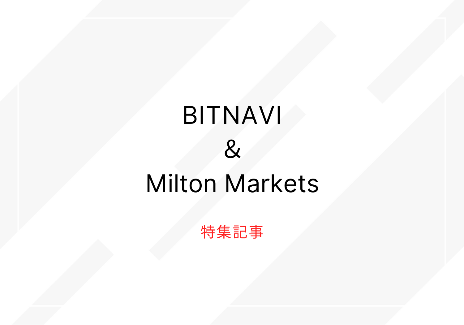 BITNAVI